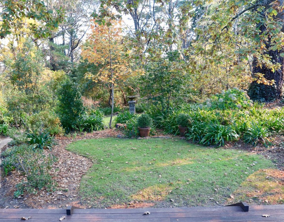 Poet'S Cottage - Fireplace, Close To Treks Wentworth Falls Kültér fotó